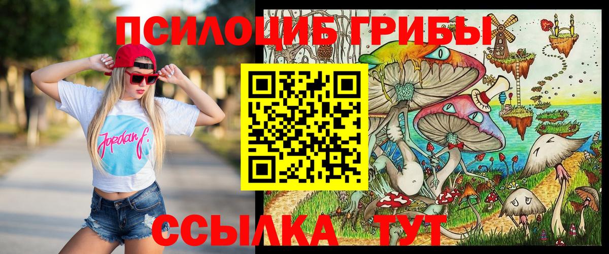 Псилоцибиновые грибы GOLDEN TEACHER Павлово