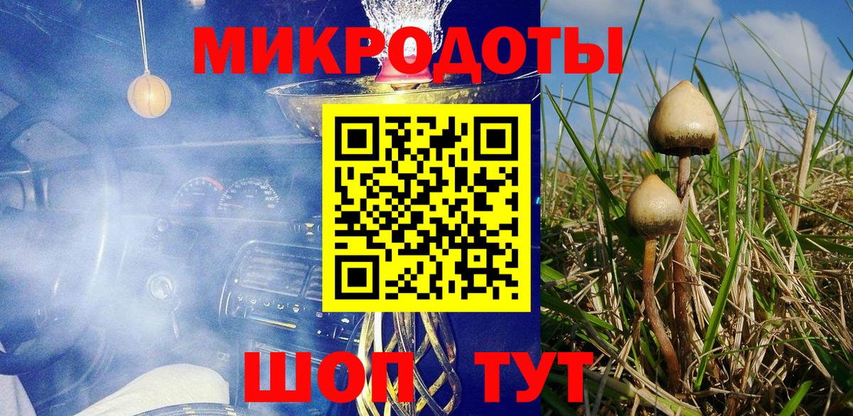 Павлово  Псилоцибиновые грибы мицелий  Вход с VPN 